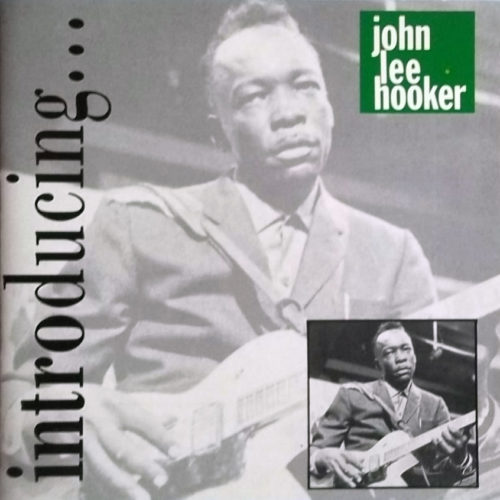 The Complete Chess Folk Blues Sessions - John Lee Hooker